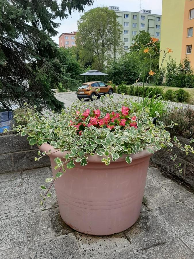 Zluty Apartman A6 V Chomutove Apartment Bagian luar foto